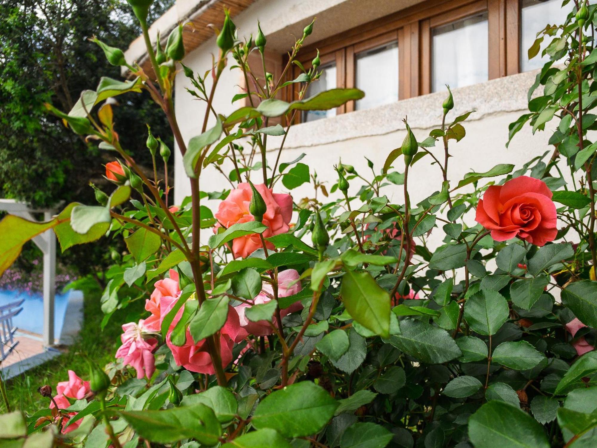 Agriturismo Guparza Posada Kültér fotó