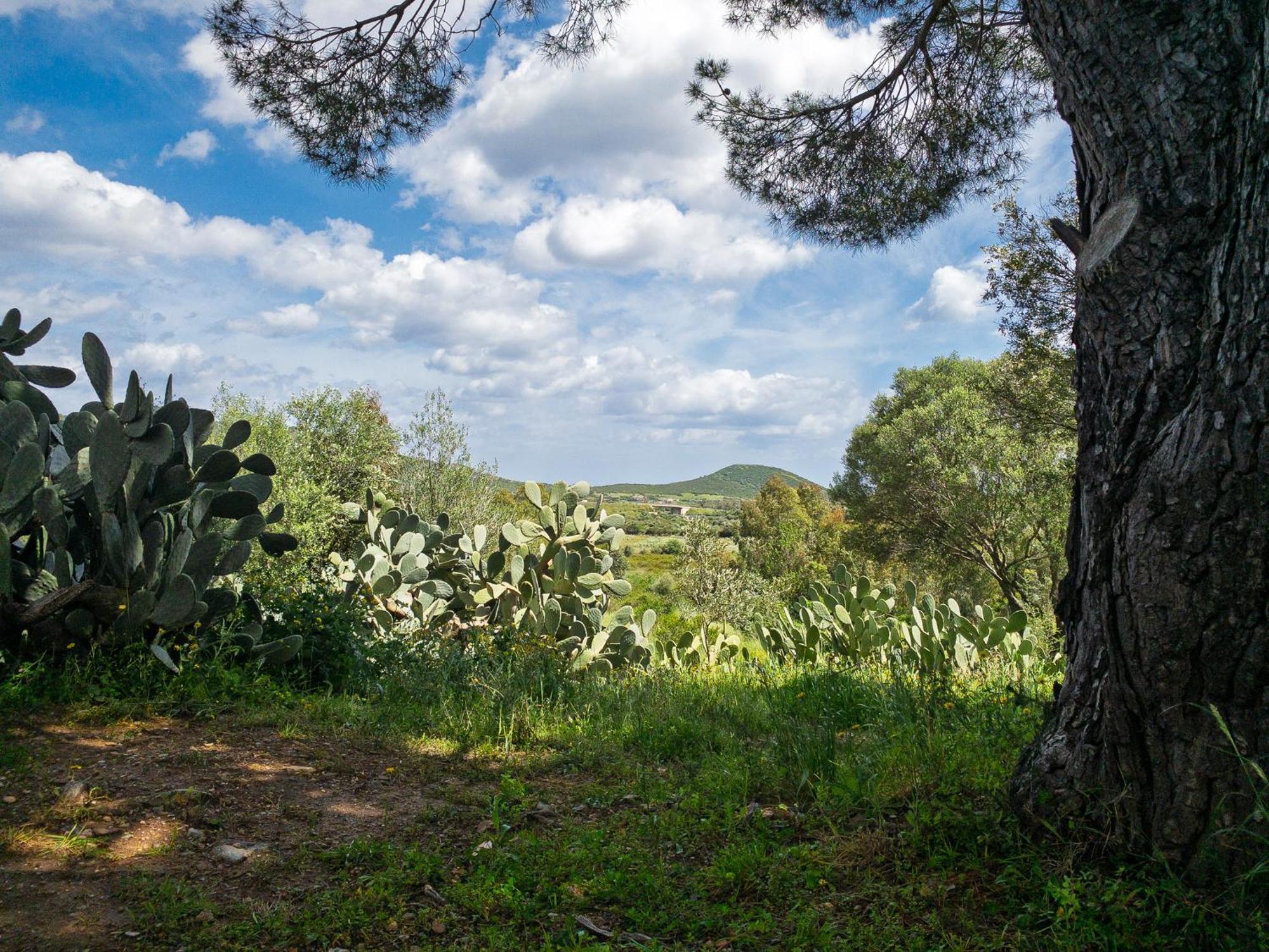 Agriturismo Guparza Posada Kültér fotó