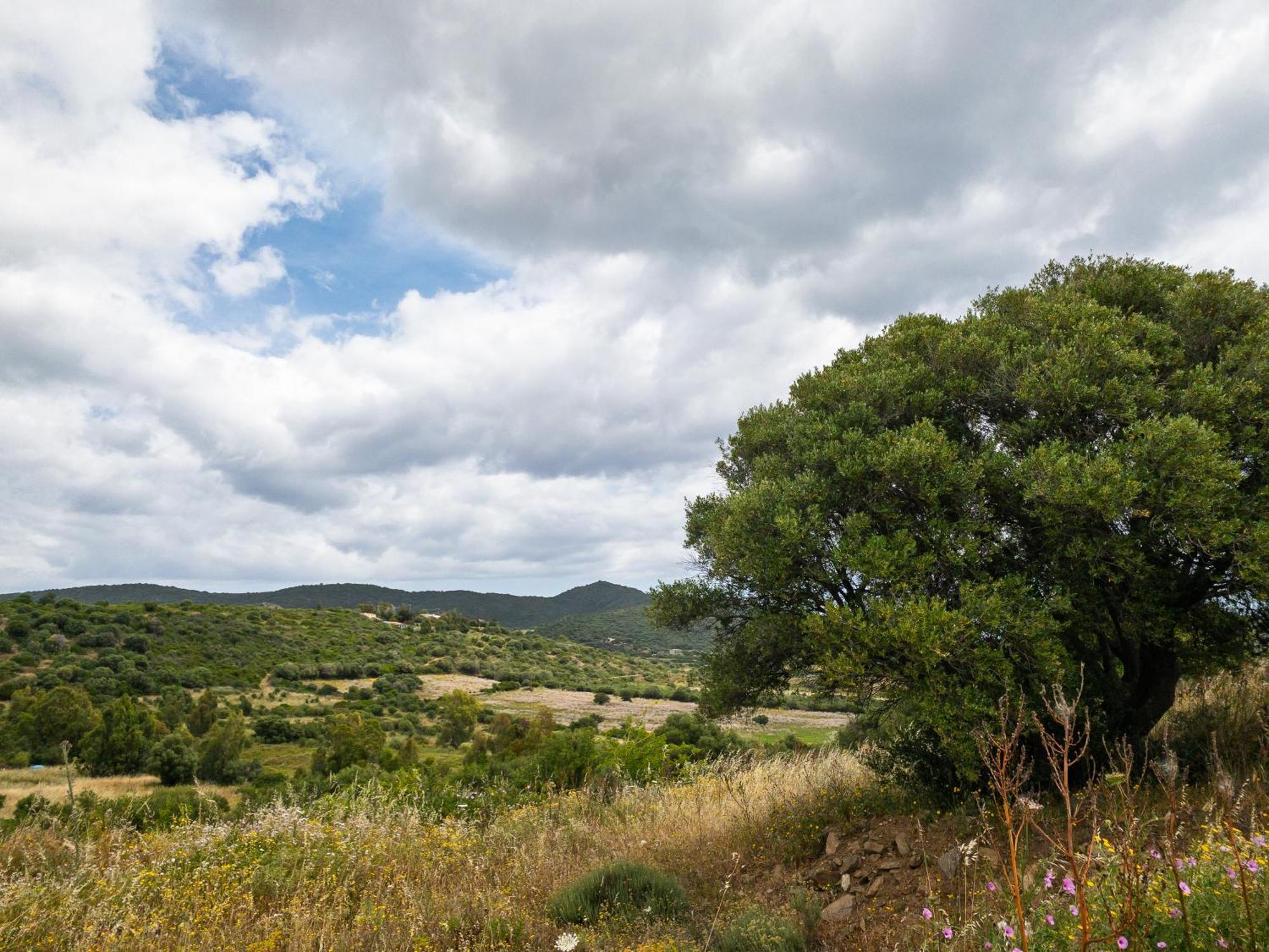 Agriturismo Guparza Posada Kültér fotó